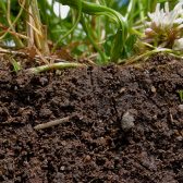 Geologische Dienst Nederland -TNO