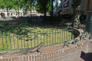 Ondergrondse fietsenstalling op onmogelijke plek