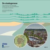 De stadsgenese en klimaatadaptie