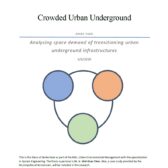 Crowded Urban Underground