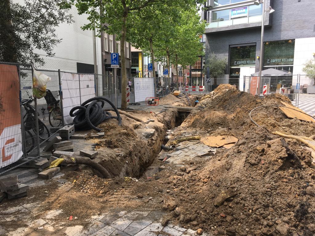 Bomen over bomen: wat kan er beter?