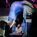 Het digitaliseringsplein met grote opblaasbare olifant op het COB jubileumcongres op 31 maart 2025