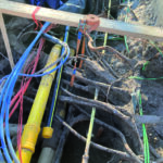 Wortels, kabels en leidingen zichtbaar in een sleuf bij werkzaamheden in de Emmastraat in Dordrecht