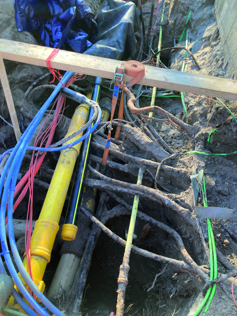Succesverhalen van werkzaamheden bij kabels, leidingen en bomen